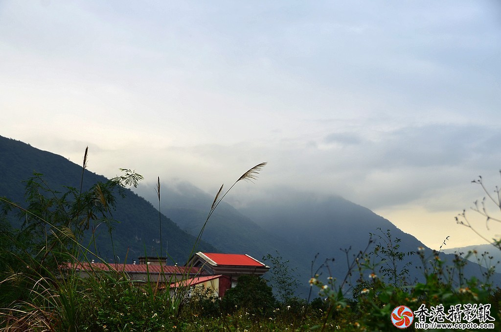 DSC_5966小片.jpg