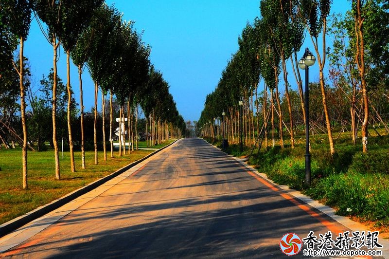 路