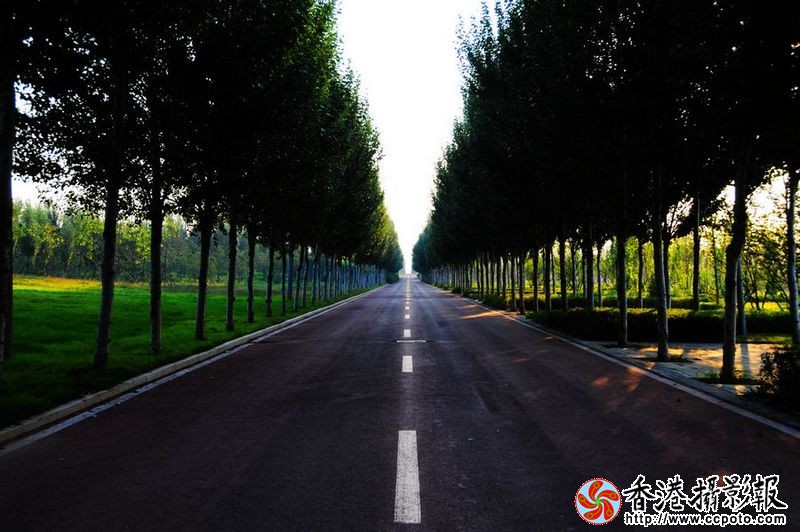 路