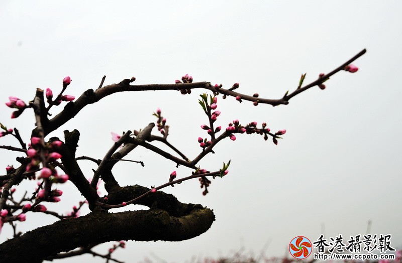 DSC_0234_调整大小.JPG