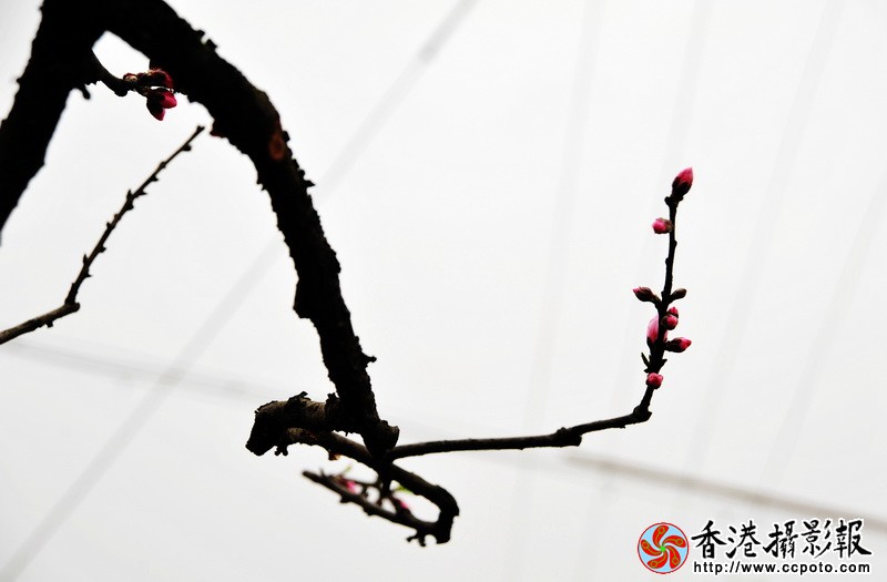 DSC_0317_调整大小.JPG