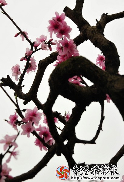 DSC_0339_调整大小.JPG