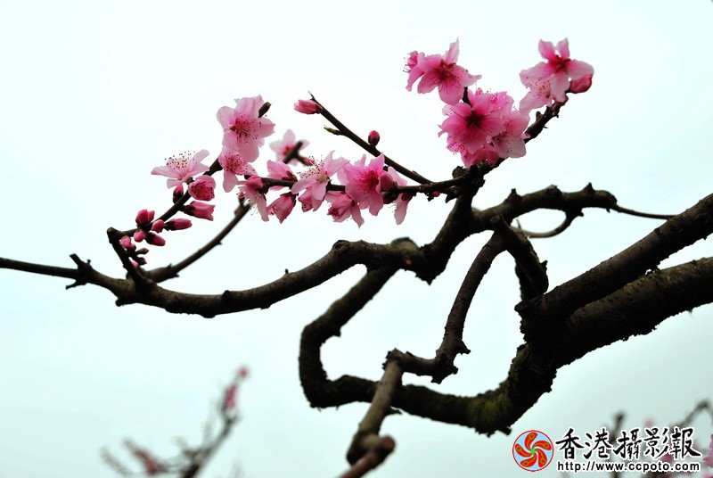 DSC_0346_调整大小.JPG