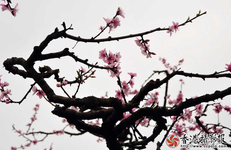 DSC_0362_调整大小.JPG