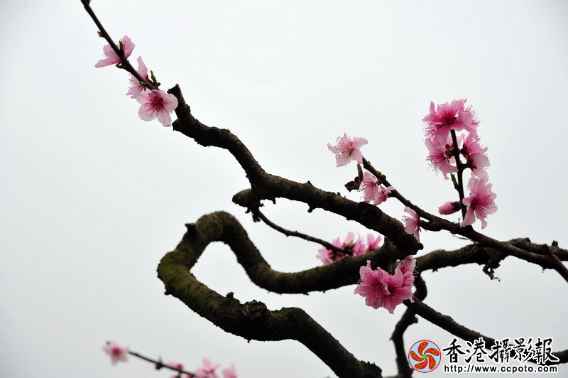 DSC_0400_调整大小.JPG