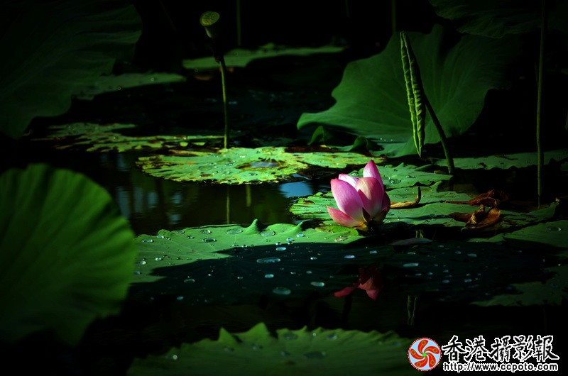 NSC_0707_调整大小.JPG