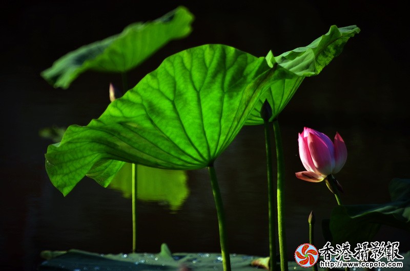 NSC_0809_调整大小.JPG