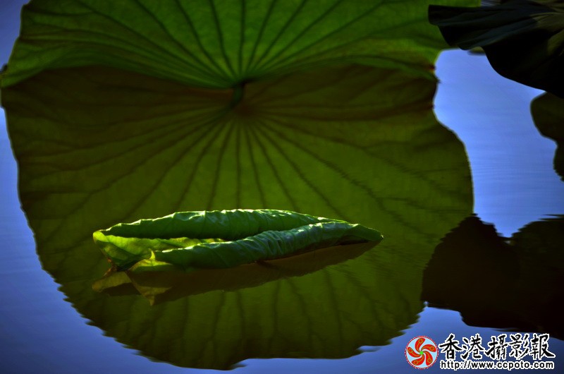 NSC_0837_调整大小.JPG