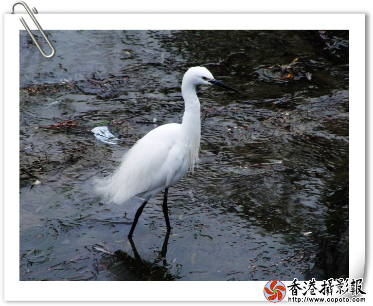 DSCF9733.JPG