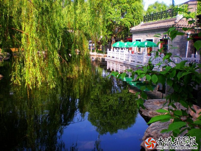 园林小景