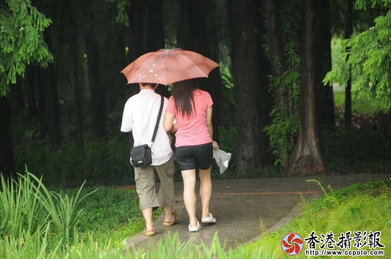 雨中