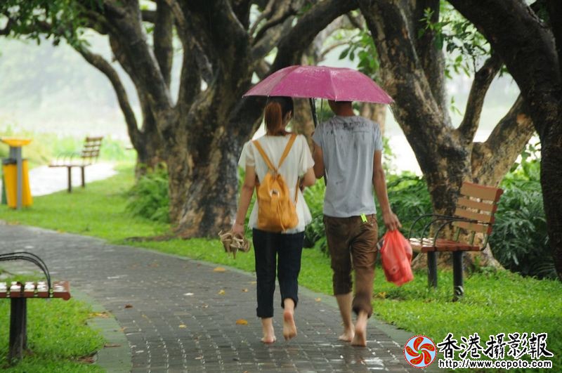 雨中