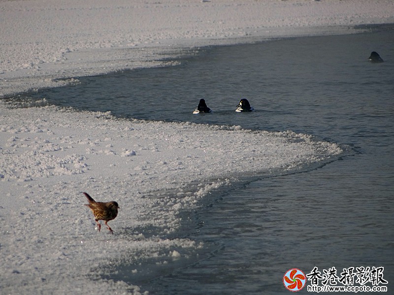 DSC05657_副本.jpg