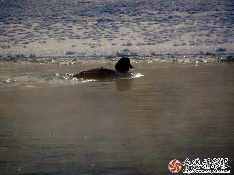 DSC05733_副本.jpg