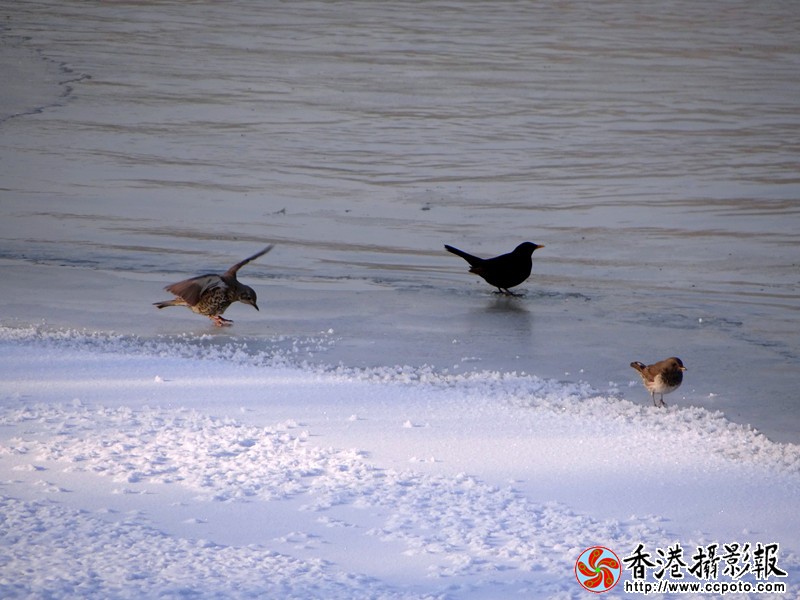 DSC05756_副本.jpg