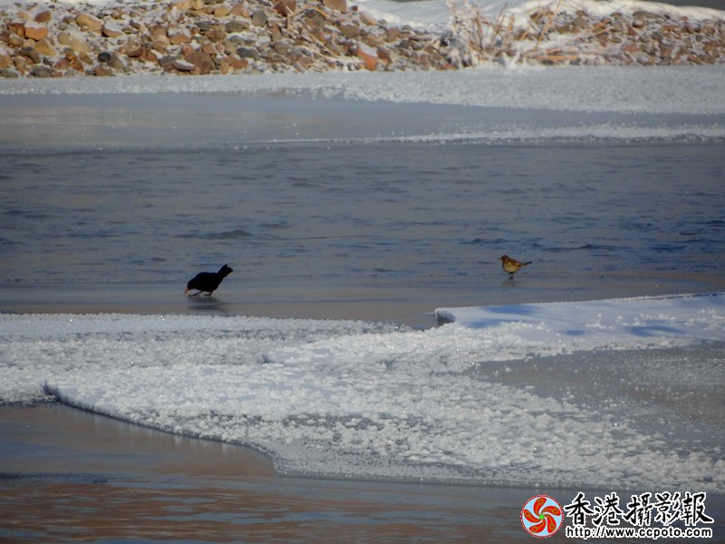 DSC05785_副本.jpg