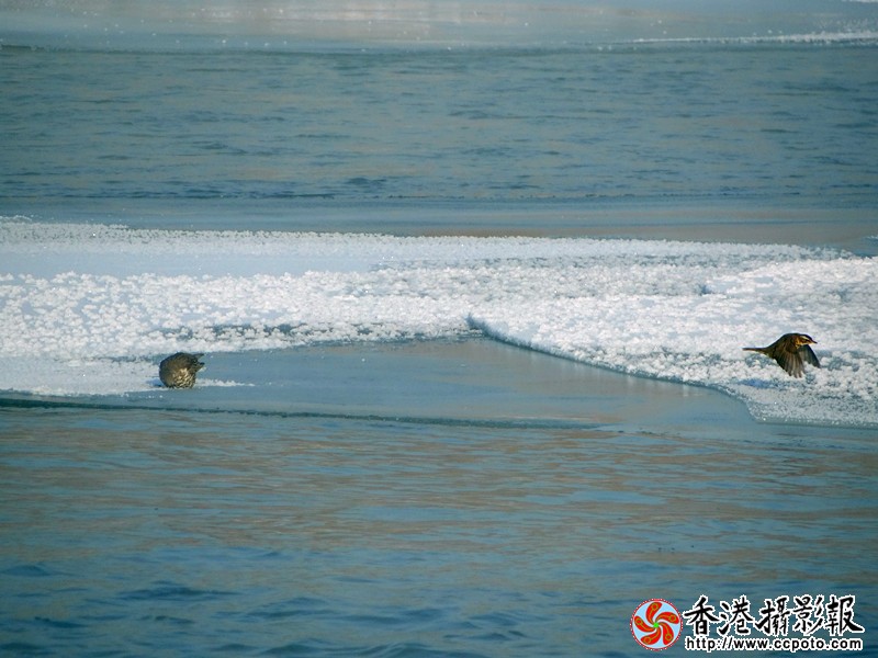 DSC05794_副本.jpg