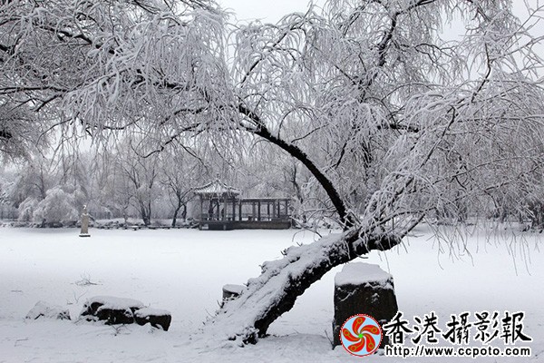 _MG_0059啊A.jpg