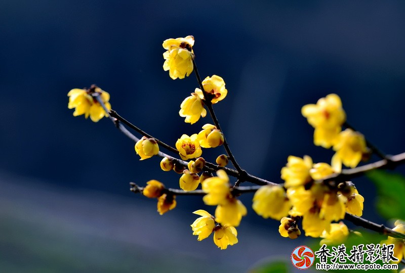 NSC_5510_调整大小.JPG