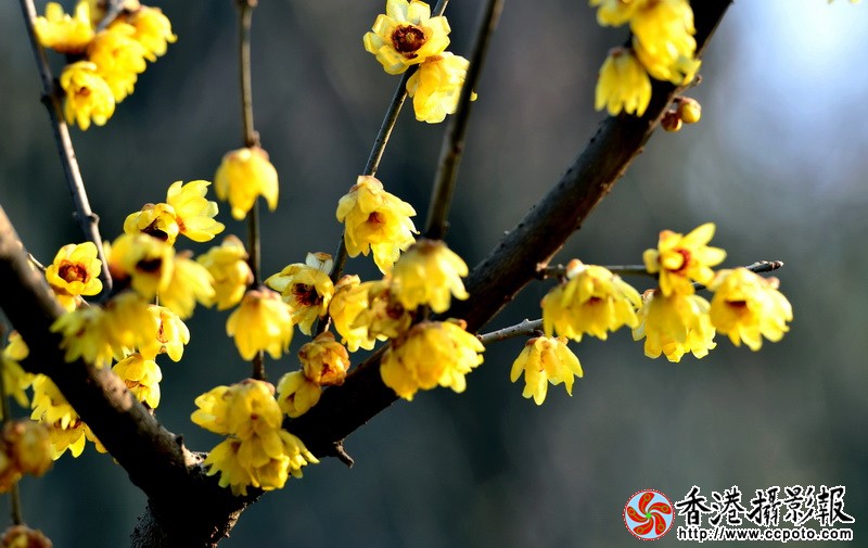 NSC_5592_调整大小.JPG