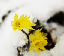 _DSC07491.jpg