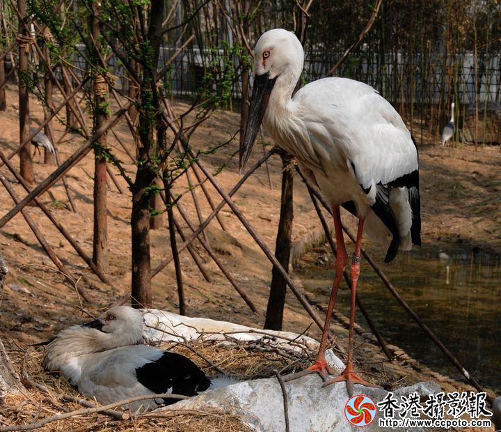 守护