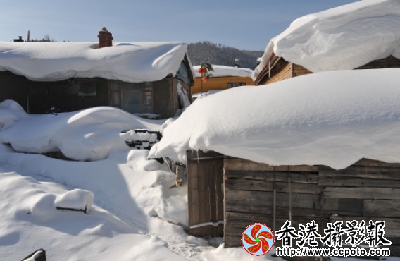 大雪 (16).jpg