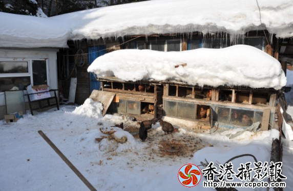 大雪 (22).jpg