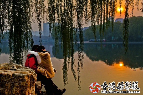 情醉夕阳.jpg