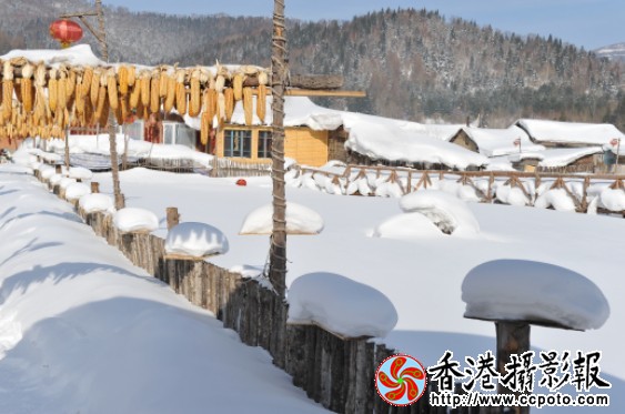 大雪 (31).jpg
