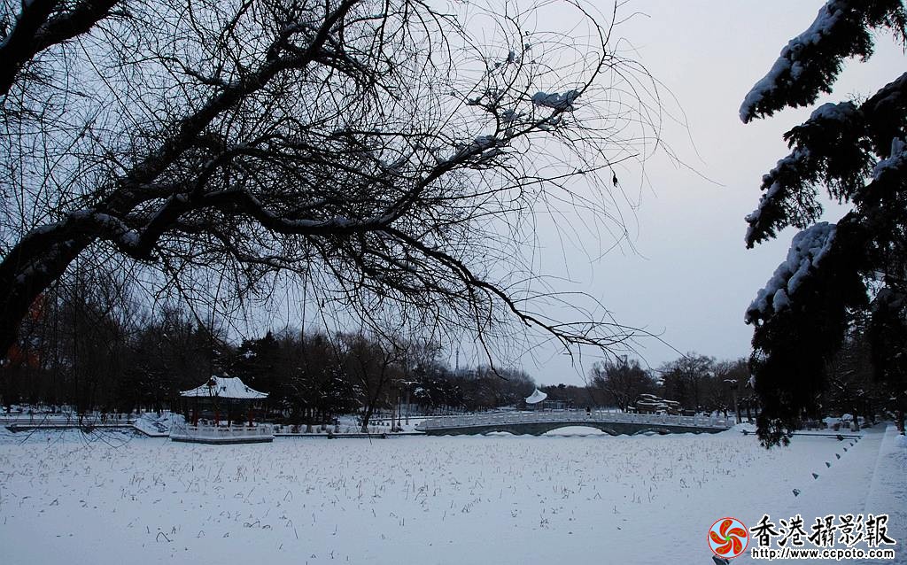 DSC_3895_副本.jpg