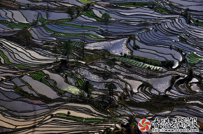 元阳梯田（老虎嘴景区）漂亮的水墨丹青,不愧是世界人文景观！ (1).jpg