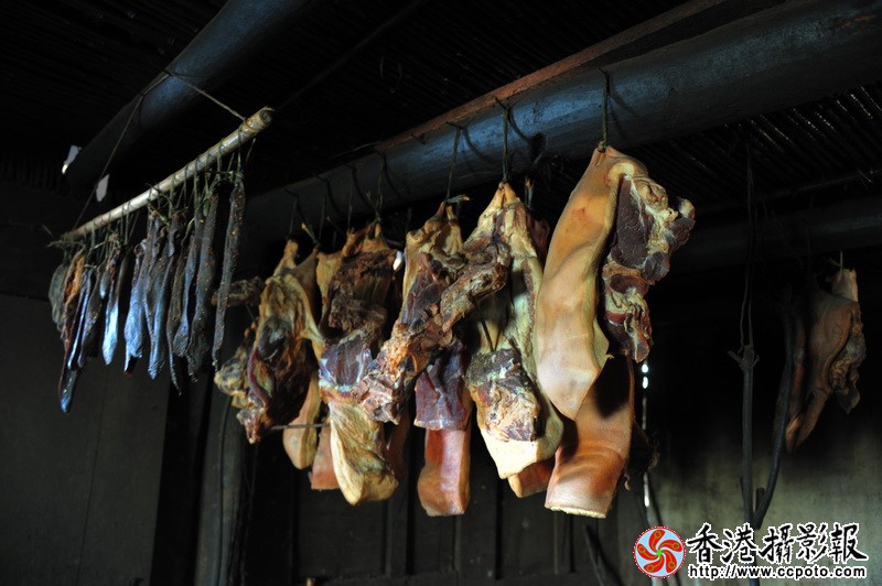 DSC_5869_调整大小.JPG