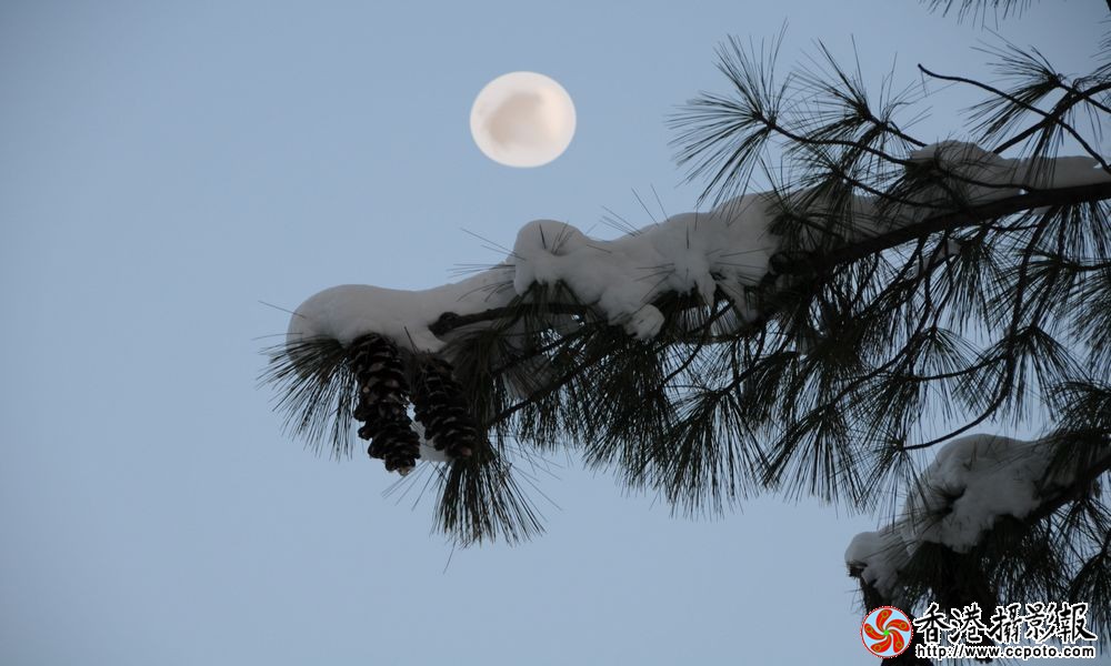 20120227松雪映月1-门户.jpg