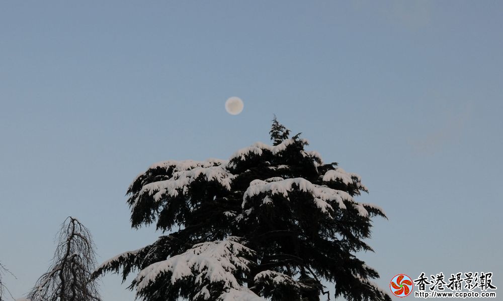 20120227松雪映月2-门户.jpg