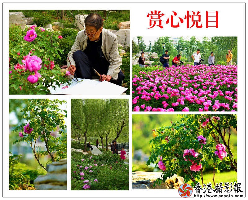 赏心悦目（组）1.jpg