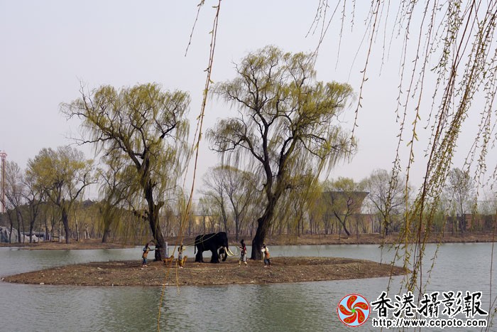 泰安太阳部落随拍1..jpg