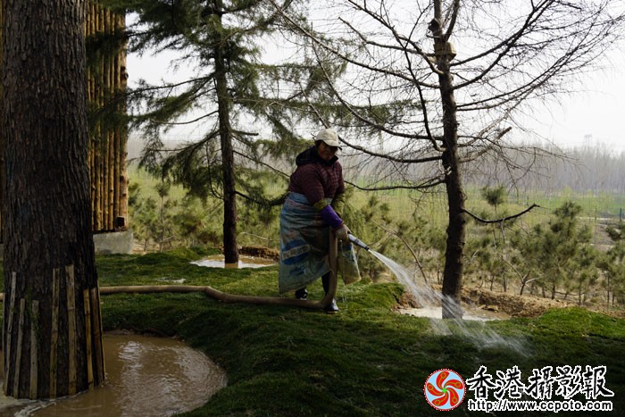 泰安太阳部落随拍5..jpg