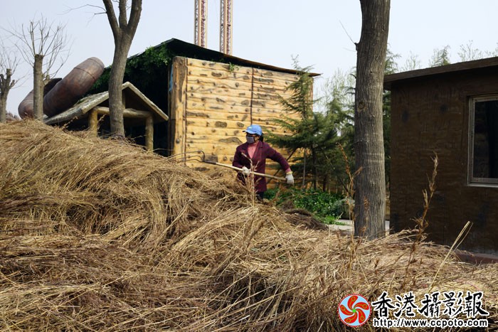 泰安太阳部落随拍4..jpg