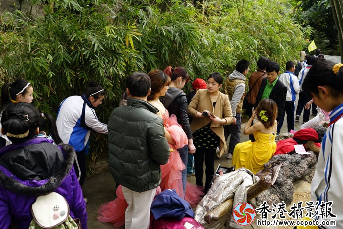 泰安热带雨林风情园的爱情5..jpg