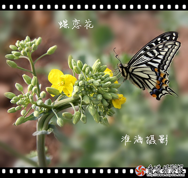 淮海摄影 181_副本.jpg