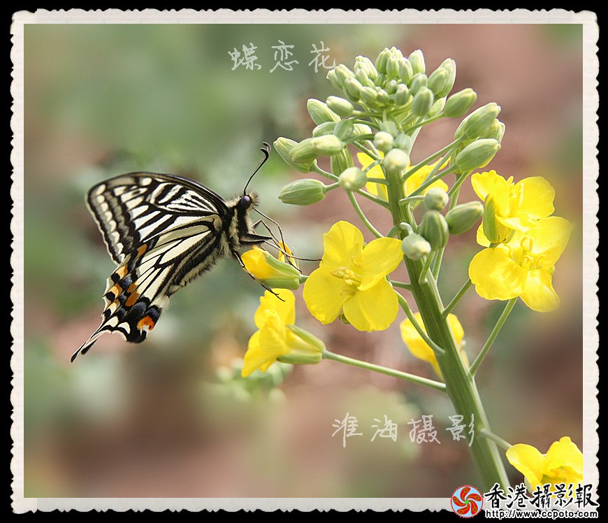 淮海摄影 192_副本.jpg