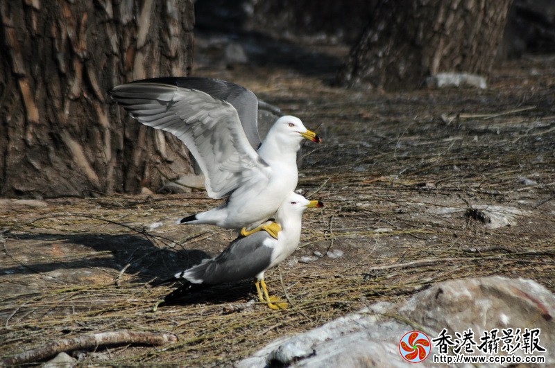 DSC_3734.jpg