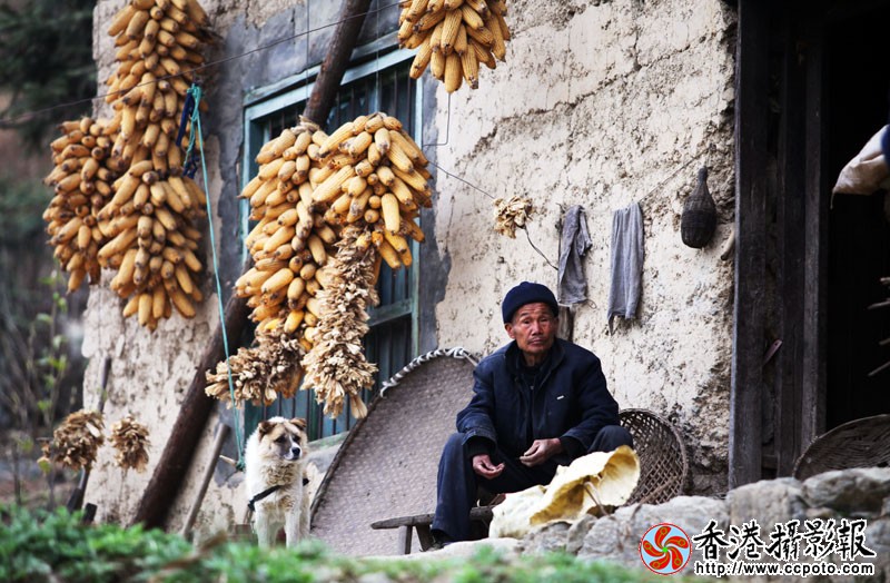 老人与狗.jpg
