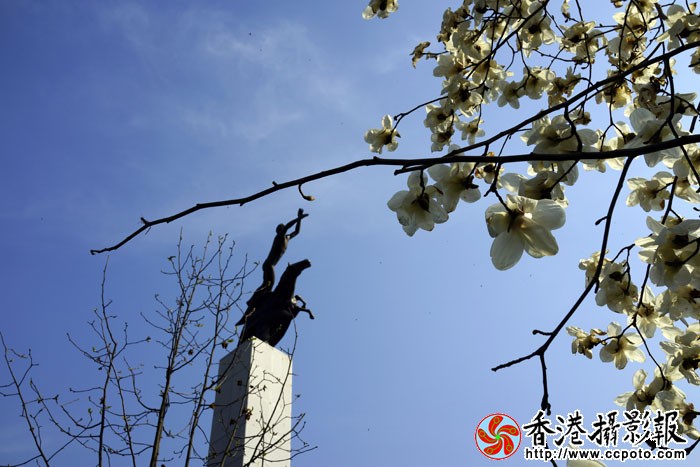 春到雕塑城16..jpg