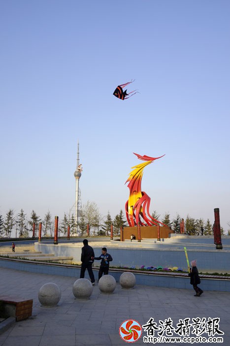 凤凰广场清明风筝2..jpg