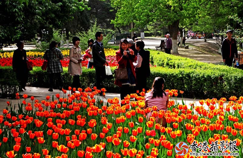 花开季节.jpg
