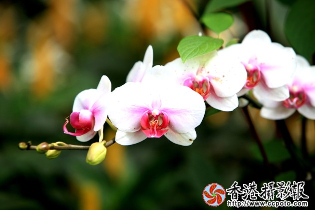 IMG_7789.jpg