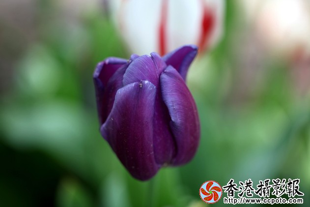 IMG_8078.jpg