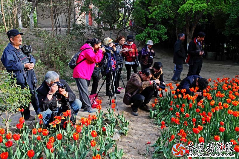 拍花的摄影师们7450.jpg